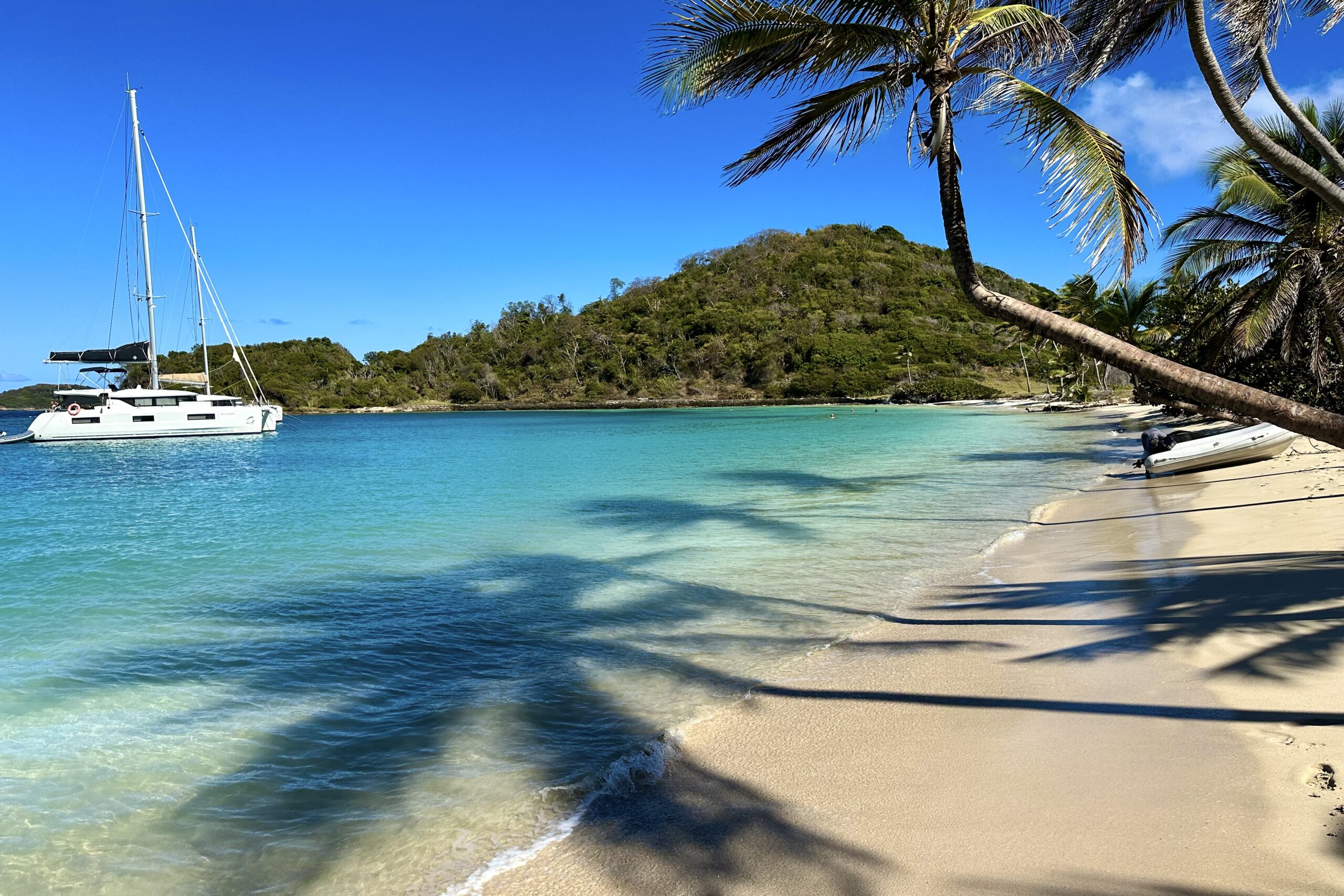 6 - Salt Whistle Bay, a Mayreau, è una delle spiagge più incantevoli delle Grenadine. Con la sua sabbia fine e bianca, acque turchesi e tranquille, è ideale per nuotare, fare kayak e rilassarsi sotto le palme. Il paesaggio incontaminato e la tranquillità la rendono una destinazione paradisiaca.